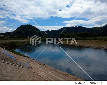 川の駅からの大場川 川の駅からの大場川 78825946