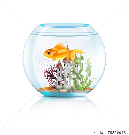 Aquarium Fish Realistic Compositionのイラスト素材