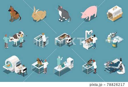 Veterinary Clinic Isometric Set 78826217