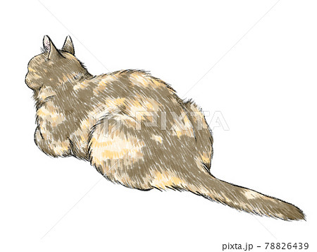 聞き耳をたてる猫 78826439