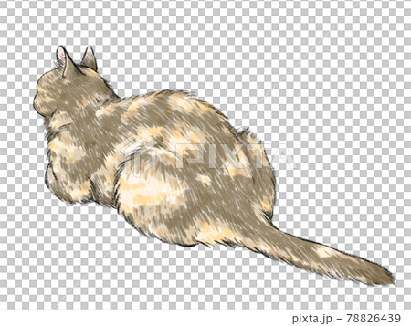 聞き耳をたてる猫 78826439