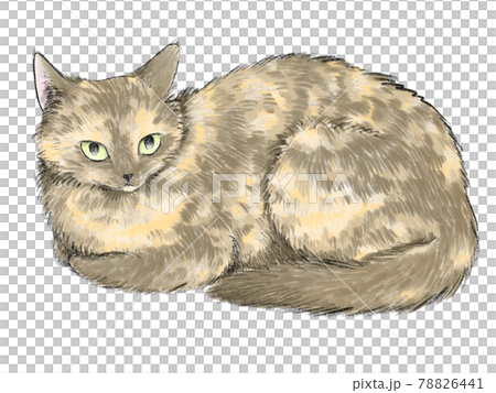 香箱座りの猫のイラスト素材