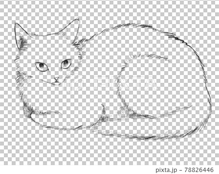 Cats in a barrel sitting Cats in a barrel sitting 78826446