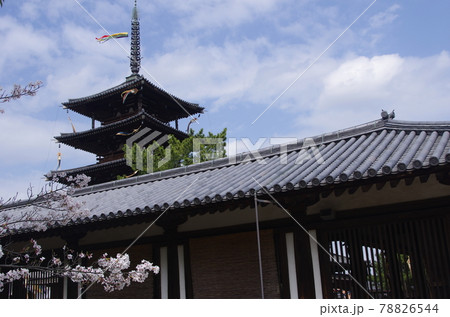 法隆寺 78826544