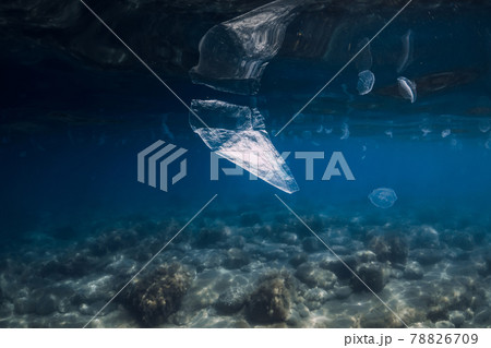 Underwater ocean with plastic bag, ecological problem in World ocean Underwater ocean with plastic bag, ecological problem in World ocean 78826709