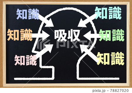 知識吸収 知識吸収 78827020