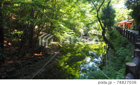 箕面公園の滝道 箕面公園の滝道 78827036