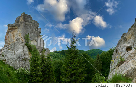 famous Ukrainian medieval cliff-side Tustan fortress ruins famous Ukrainian medieval cliff-side Tustan fortress ruins 78827935