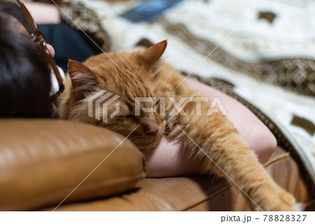 猫と一緒に眠る 茶トラ猫 猫と一緒に眠る 茶トラ猫 78828327