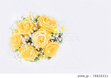 白バックの黄色い薔薇 78828331
