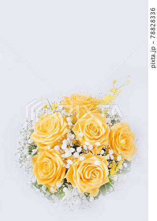 白バックの黄色い薔薇 78828336