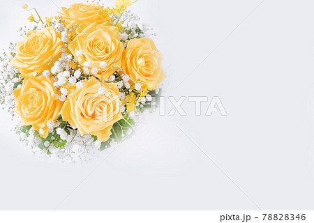 白バックの黄色い薔薇 78828346