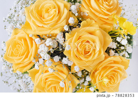 白バックの黄色い薔薇 78828353