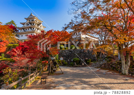 紅葉の郡上八幡城〈岐阜県郡上市〉 78828892