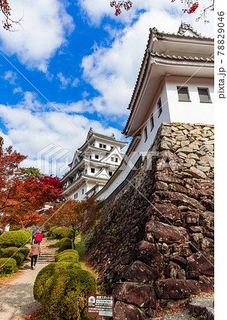紅葉の郡上八幡城〈岐阜県郡上市〉 紅葉の郡上八幡城〈岐阜県郡上市〉 78829046