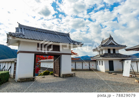 紅葉の郡上八幡城〈岐阜県郡上市〉 78829079