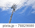 青空に広がるうろこ雲の下の電柱 78829080