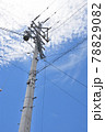 青空に広がるうろこ雲の下の電柱（縦） 78829082