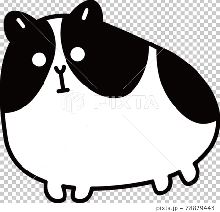 モルモットのイラスト素材 7443 モルモットのイラスト素材 7443