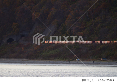 黄昏時の噴火湾沿いの海岸線を行く貨物列車 78829563
