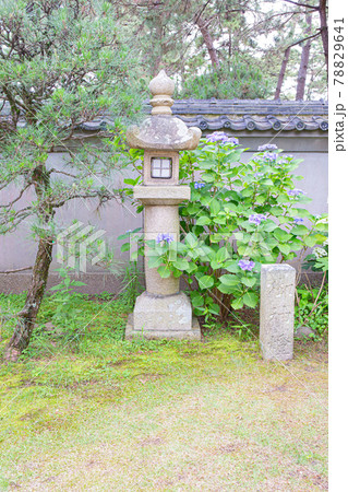 あじさい神苑で有名な兵庫県明石市の東播磨にある住吉神社の庭園 あじさい神苑で有名な兵庫県明石市の東播磨にある住吉神社の庭園 78829641