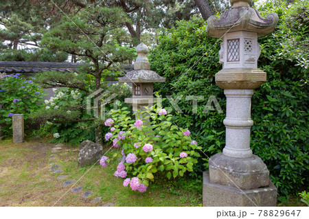 あじさい神苑で有名な兵庫県明石市の東播磨にある住吉神社の庭園 78829647