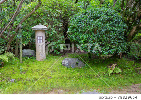 あじさい神苑で有名な兵庫県明石市の東播磨にある住吉神社の庭園 78829654