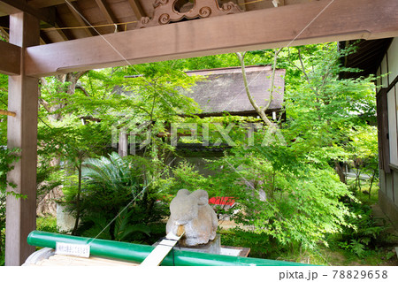 あじさい神苑で有名な兵庫県明石市の東播磨にある住吉神社の庭園 78829658