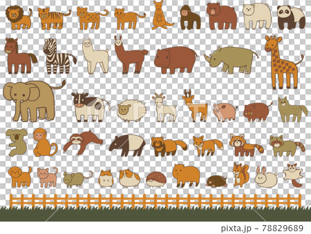 動物(ほ乳類)イラストセット(手描き風) 動物(ほ乳類)イラストセット(手描き風) 78829689