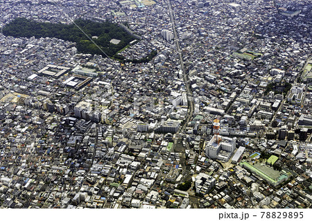 目黒郵便局上空から林試の森公園方向を空撮 78829895