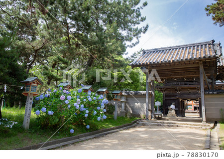 あじさい神苑で有名な兵庫県明石市の東播磨にある住吉神社にある参道と山門 78830170