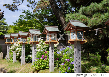 あじさい神苑で有名な兵庫県明石市の東播磨にある住吉神社にある参道 78830172