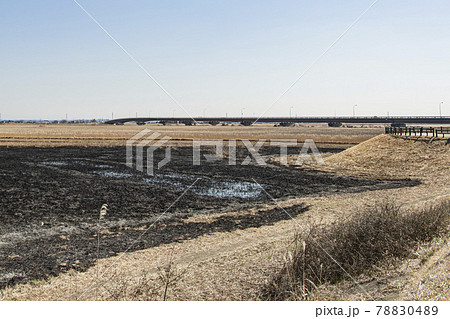 浮島　稲敷市 78830489