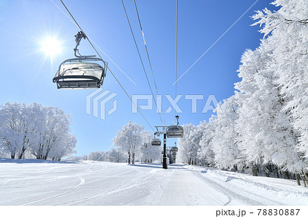 野沢温泉スキー場 上ノ平ゲレンデ(長野県野沢温泉村)【2021.2】 野沢温泉スキー場 上ノ平ゲレンデ(長野県野沢温泉村)【2021.2】 78830887