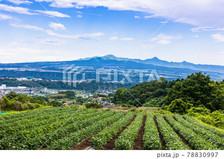 新緑の赤城山 78830997