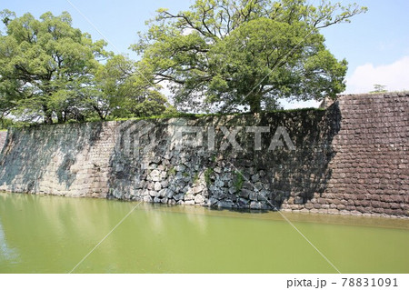 駿府城 駿府城 78831091