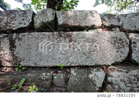 駿府城 駿府城 78831105