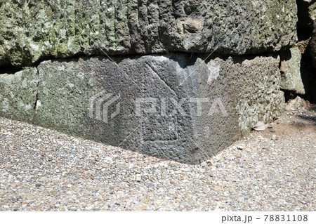 駿府城 駿府城 78831108