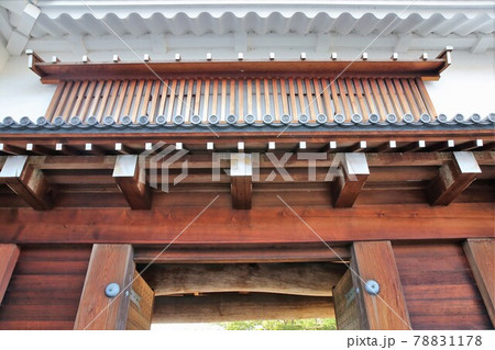 駿府城 78831178