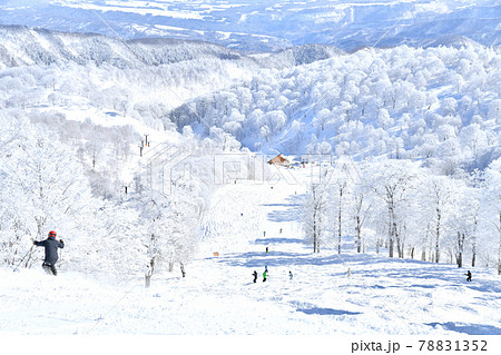 野沢温泉スキー場 やまびこゲレンデ(長野県野沢温泉村)【2021.2】 78831352