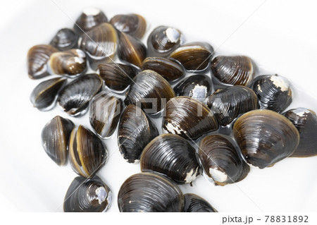 しじみの砂抜き 78831892