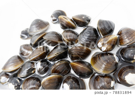 しじみの砂抜き しじみの砂抜き 78831894