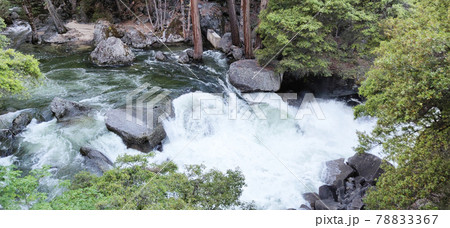 渓流の風景 78833367
