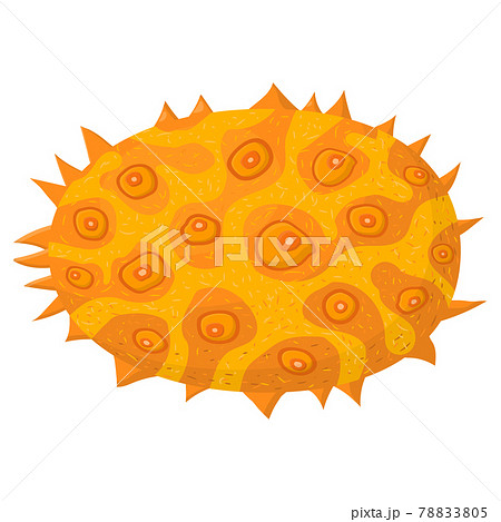 Fresh whole yellow kiwano fruit isolated on white background. Summer fruits for healthy lifestyle. Organic fruit. Cartoon style. Vector illustration for any design. 78833805