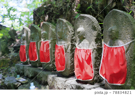 丹州華観音寺　満開の紫陽花 78834821