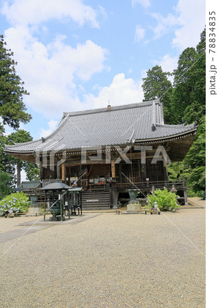 丹州華観音寺　満開の紫陽花 78834835