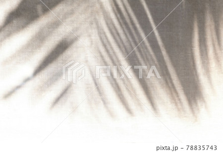 Shadow of palm leaf on a grunge texture background 78835743