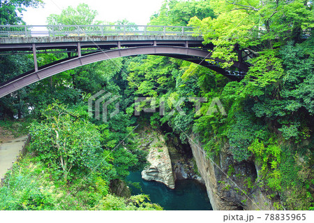 【山梨】日本三奇橋 甲斐の猿橋のたもとから眺める渓谷と新猿橋 【山梨】日本三奇橋 甲斐の猿橋のたもとから眺める渓谷と新猿橋 78835965