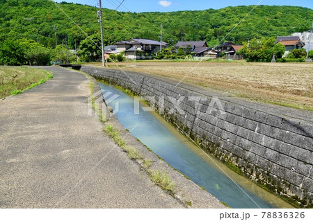 秋芳洞付近の用水路(山口県) 秋芳洞付近の用水路(山口県) 78836326