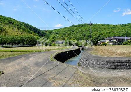秋芳洞付近の用水路(山口県) 秋芳洞付近の用水路(山口県) 78836327